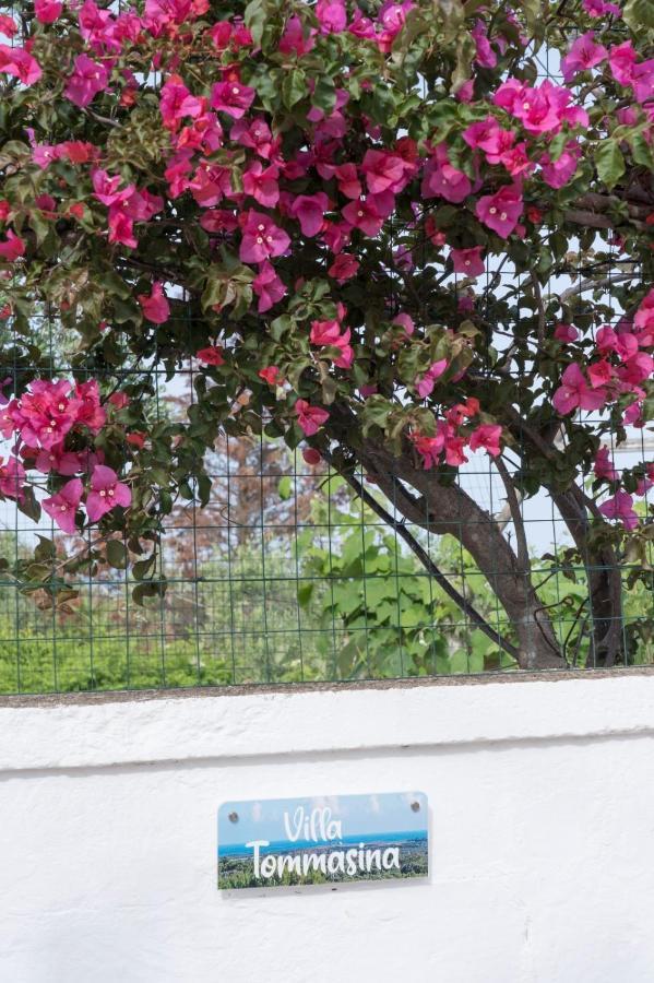 Villa Tommasina Carovigno Εξωτερικό φωτογραφία